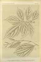  no thumbnail available