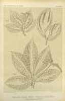  no thumbnail available