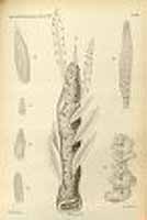  no thumbnail available