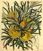  no thumbnail available