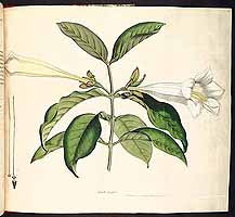  no thumbnail available