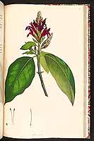  no thumbnail available