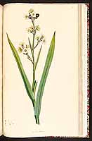  no thumbnail available