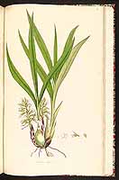  no thumbnail available