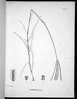  no thumbnail available