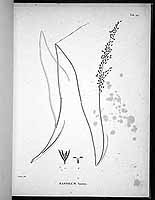  no thumbnail available