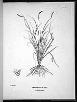  no thumbnail available