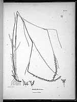  no thumbnail available