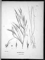  no thumbnail available