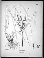  no thumbnail available