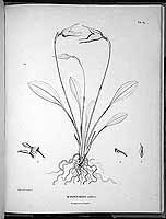  no thumbnail available