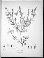  no thumbnail available