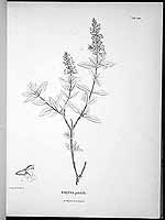  no thumbnail available