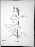  no thumbnail available