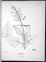  no thumbnail available