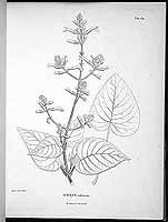  no thumbnail available