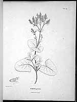  no thumbnail available