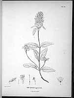  no thumbnail available