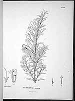  no thumbnail available