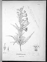  no thumbnail available