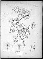  no thumbnail available