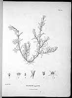  no thumbnail available