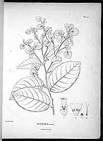  no thumbnail available