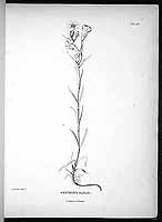  no thumbnail available