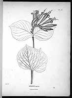  no thumbnail available