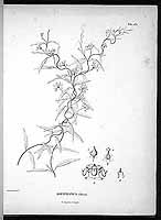  no thumbnail available