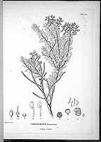  no thumbnail available