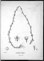  no thumbnail available