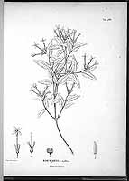  no thumbnail available