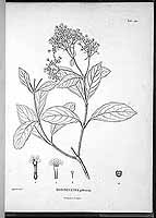  no thumbnail available