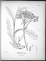  no thumbnail available