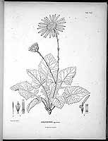  no thumbnail available