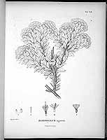  no thumbnail available