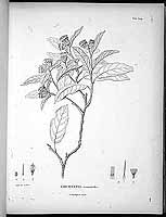  no thumbnail available