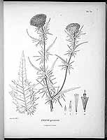  no thumbnail available