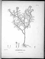  no thumbnail available