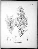  no thumbnail available