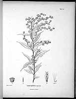  no thumbnail available