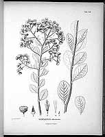  no thumbnail available