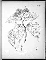  no thumbnail available