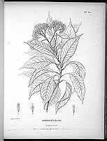  no thumbnail available