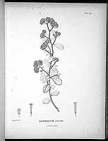  no thumbnail available