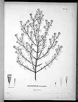  no thumbnail available