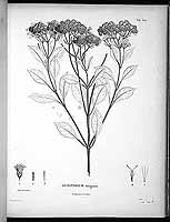  no thumbnail available