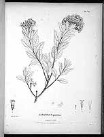  no thumbnail available