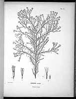  no thumbnail available